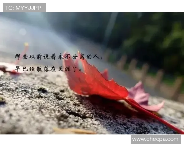 足球场上的智慧与激情名言汇聚人生哲理与运动精神的经典语录